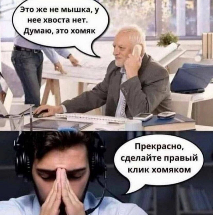  -/:         ?  ,    IT-? , ,  ,  , ,  ,   , , IT ,  , IT, , 