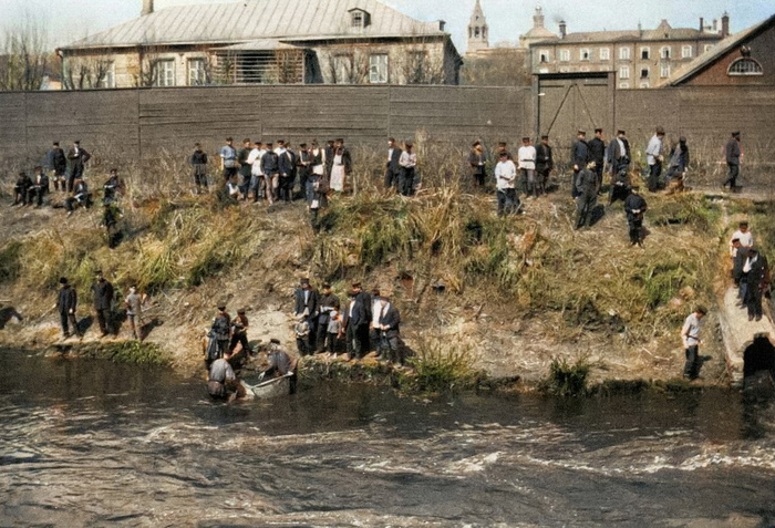 Автор: В.Н. Домогацкий