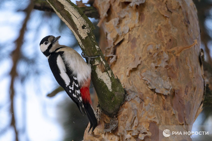 Хорошее место - останусь здесь