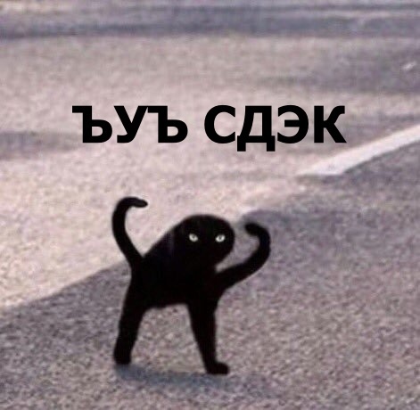   CDEK , , , , , , , , 