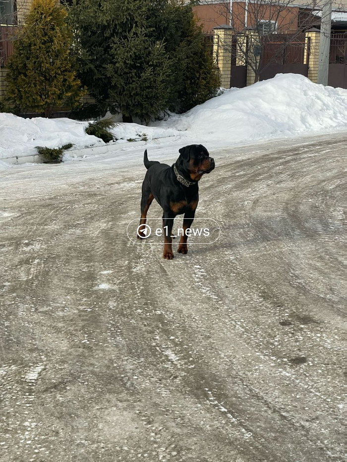 Не очень хороший мальчик