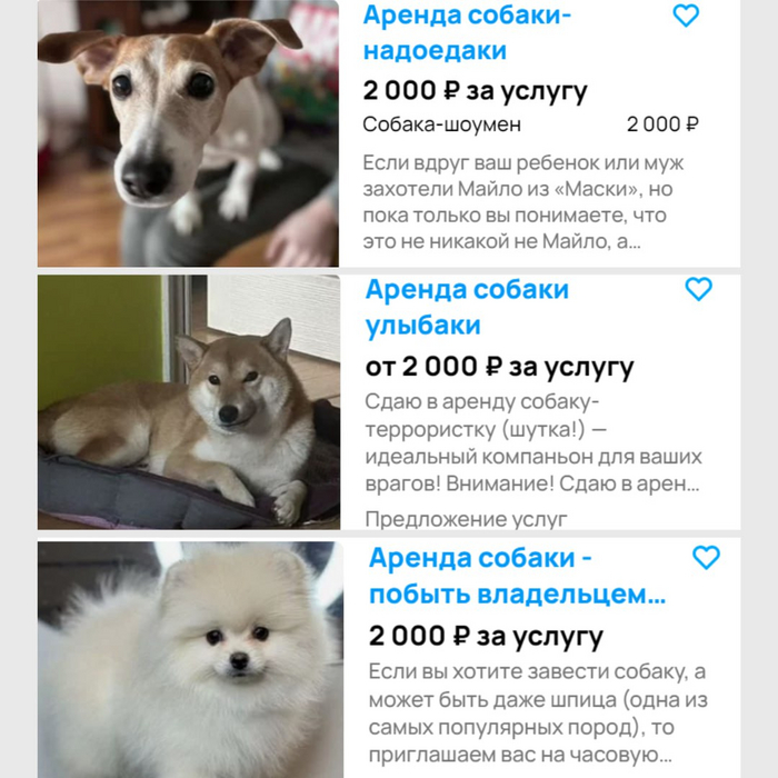  -  ,   -  ! , , ,  , Telegram ()