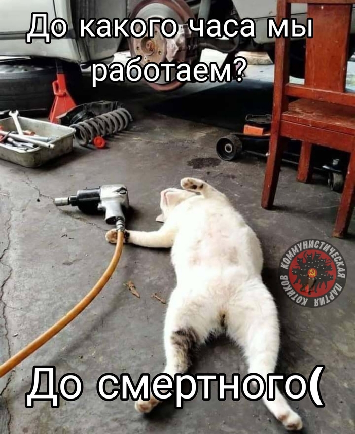... , , , , , 
