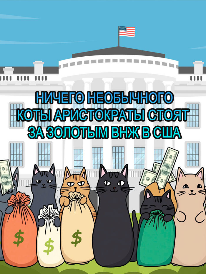   -  ,   , , , ,  (), , , , , ,  ,  , , 2025, 