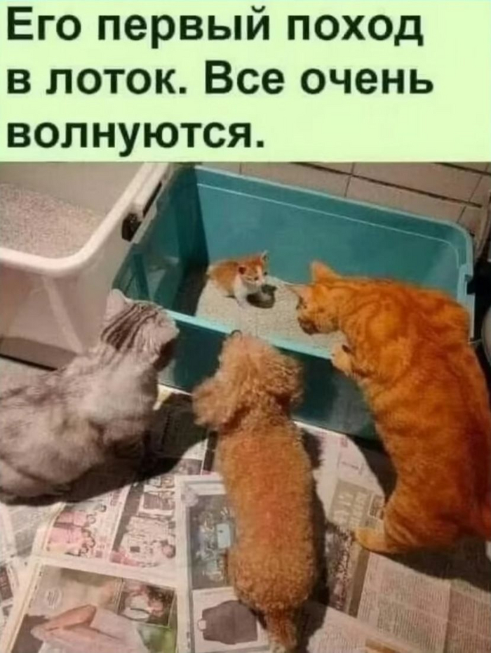 Реклама: ООО "АЛИБАБА.КОМ (РУ)" ИНН 7703380158