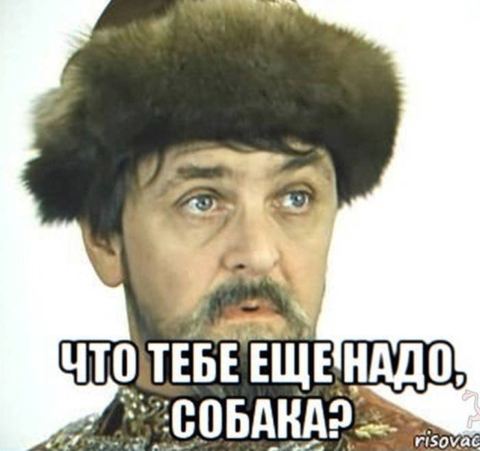      .       , , , , , , , ,   ,  
