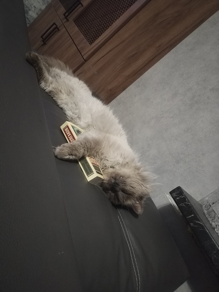    , , ,  , 