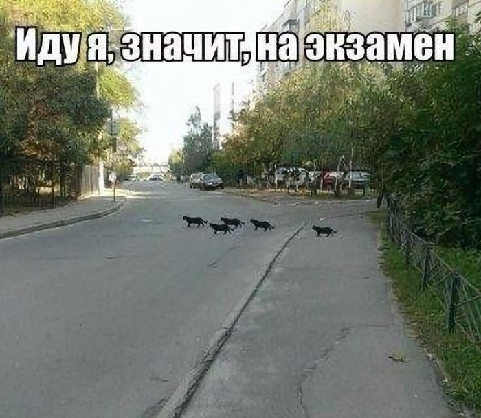 ����� ������ ����� �� �������� �� ����