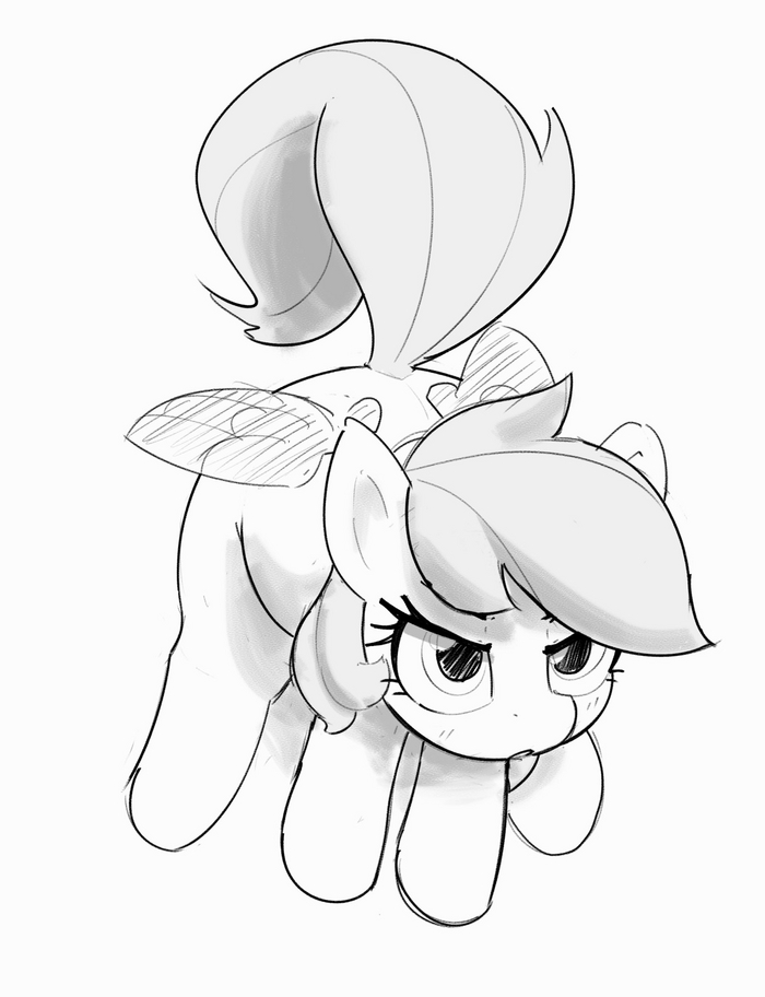    ? My Little Pony, Rainbow Dash, Pabbley