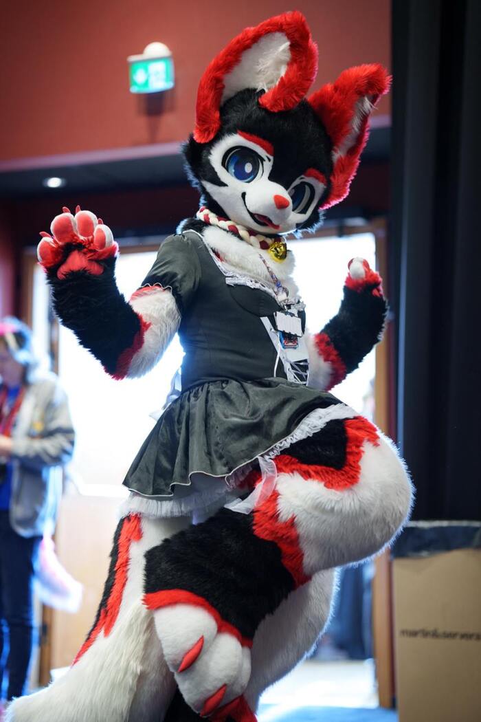 Strawberry , , Furry Canine, Furry Dog
