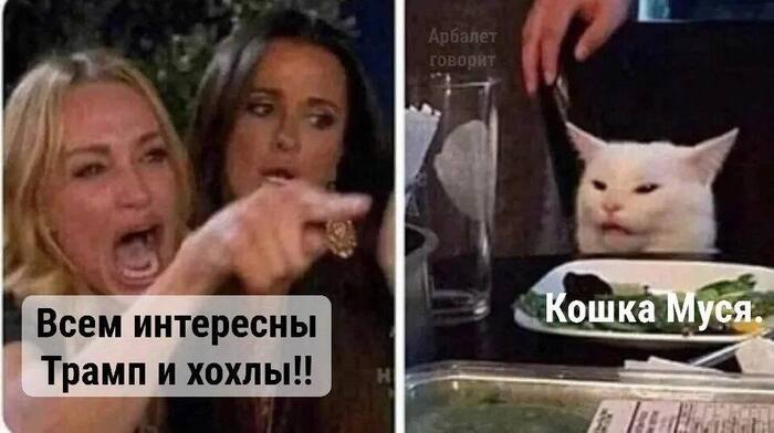  , ,  
