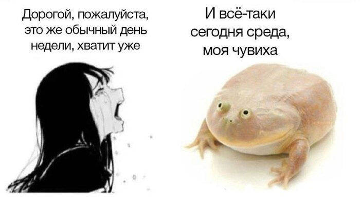   ,  !