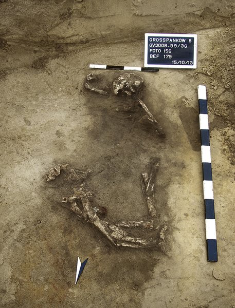 ���������� ������������� � �����-�������, �����������