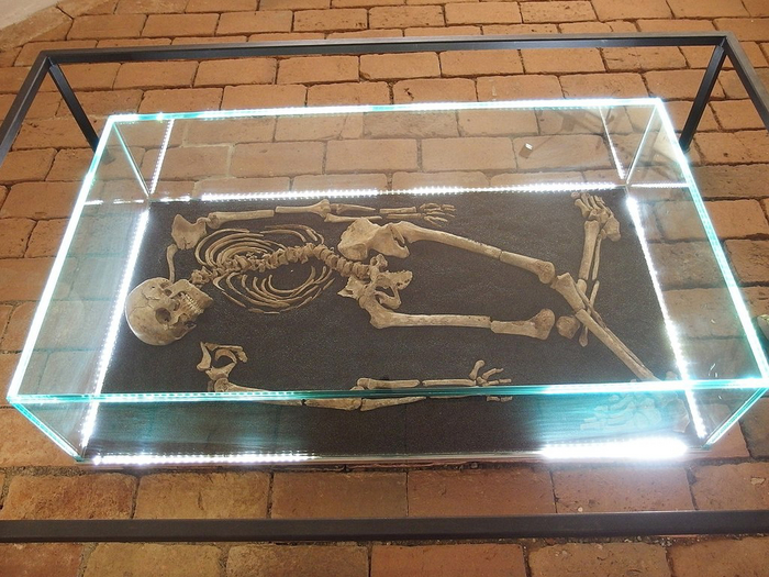 ������������ � ϸ���-�������������, �������