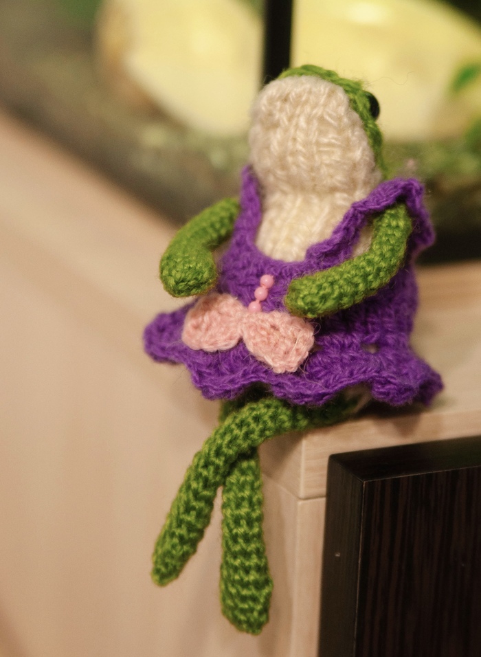 Жабка Помпушка упитанная, но не толстушка