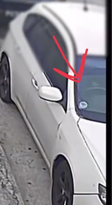    ,   ? , , , , ,  , Geoguessr,   , 