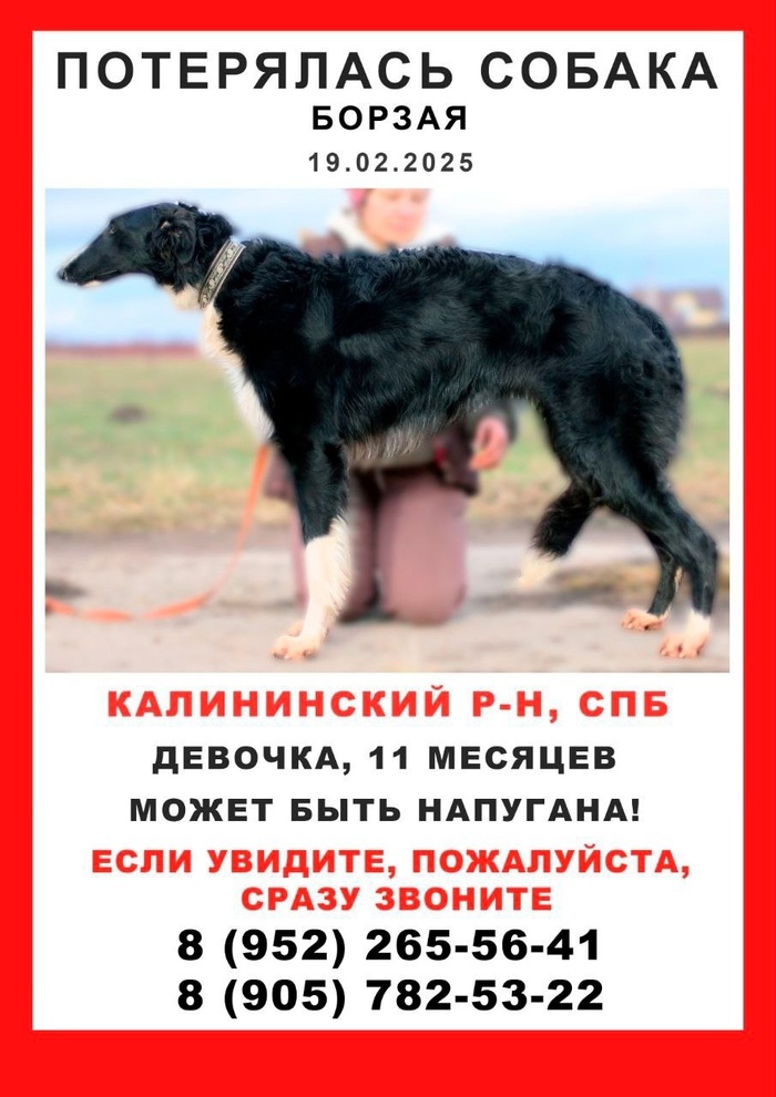 !    !  , -,  ,  , Telegram (),  (), ,  