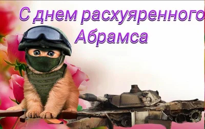    , , , , ,  , , ,  