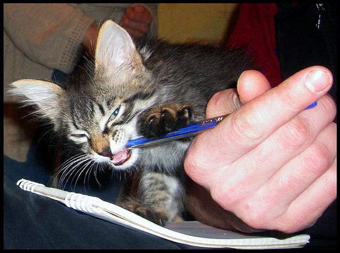 � ��� ��� ���� ���� ������ ������...