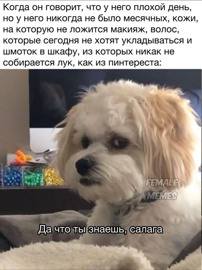 ������� ���� �� ����