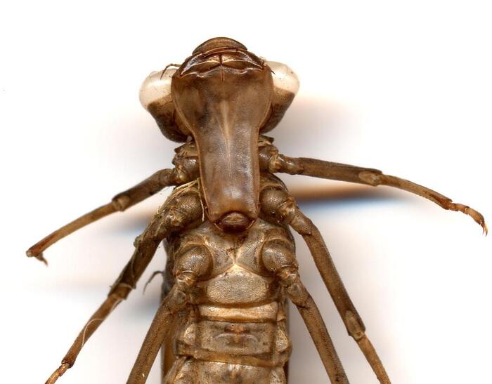 ������ ����� ������� (���� � ��������� ���������)