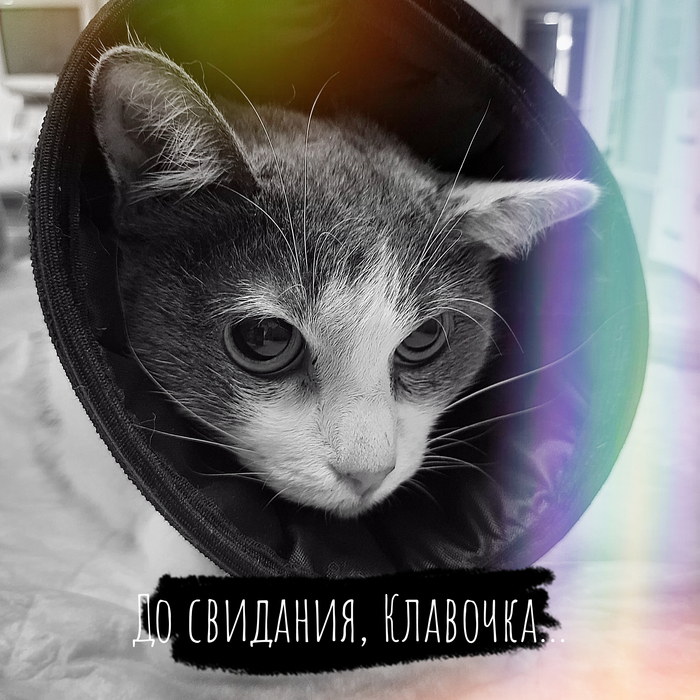  , ... , , ,  , , , 
