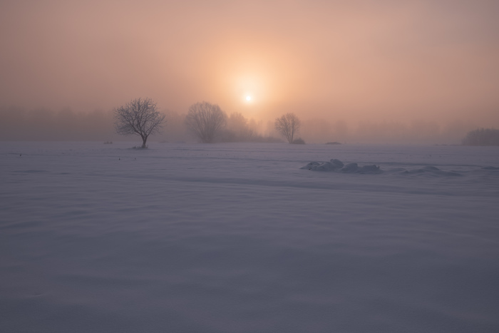 Морозное и туманное утро
