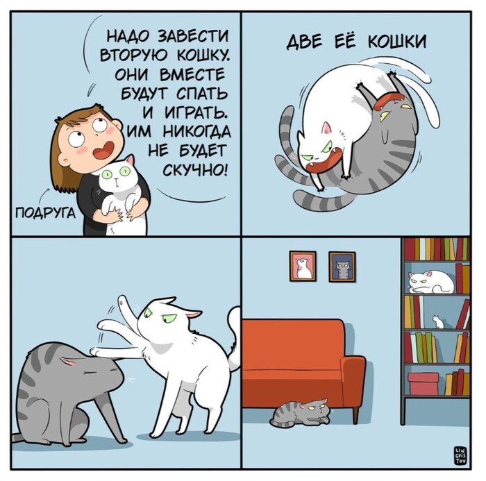 ���� ��������