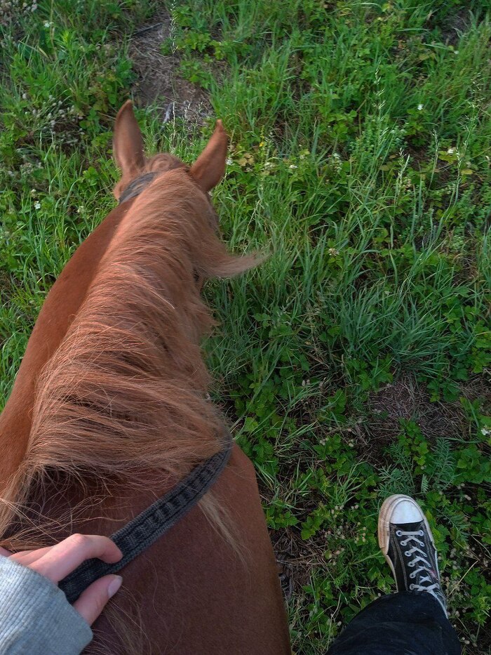 И кто же прав?