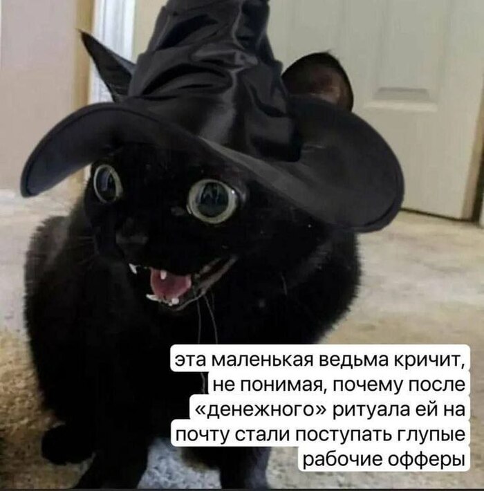 !  , ,   , , 