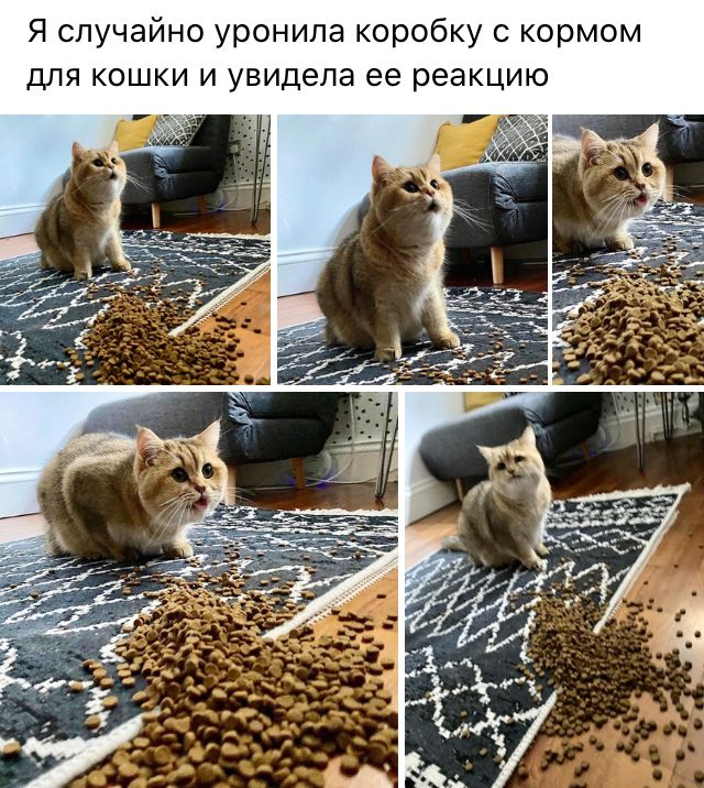 ,   -... , ,  ,  , ,  , ,   , 