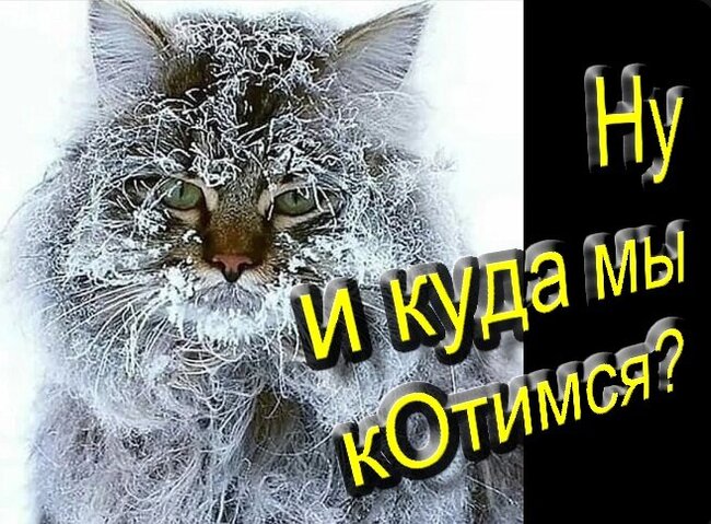  ,    "  "   ?     ... , , ,  , 