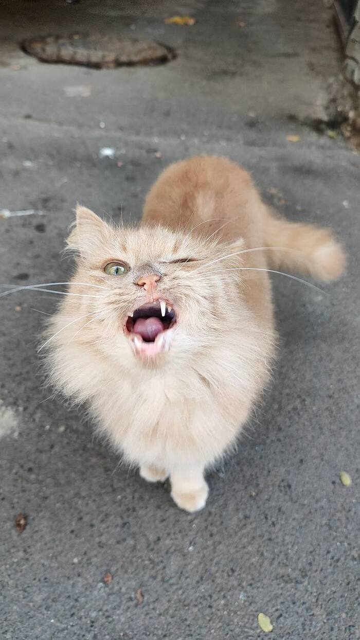   ?  ,  ? , , , , , ,  