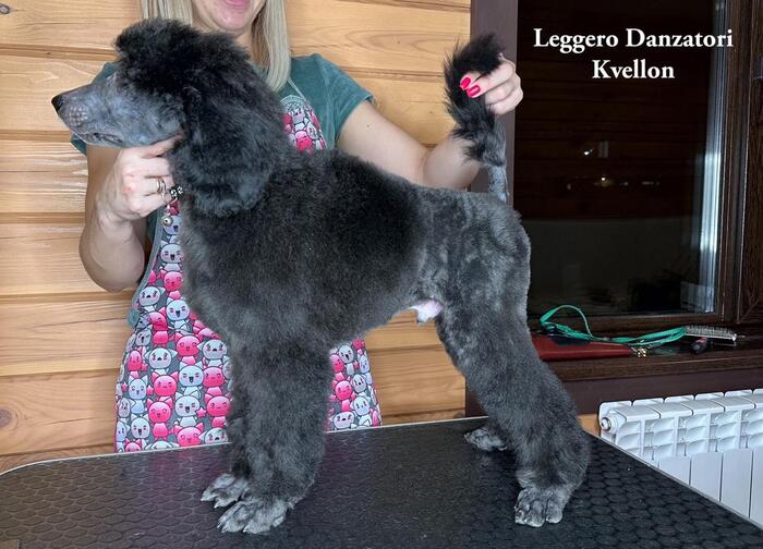 Leggero Danzatori Kvellon 26.11.2023. ������� 2 ������ � 12 ����.