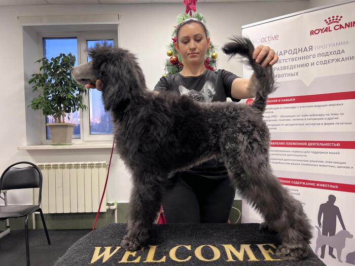 Leggero Danzatori Kvellon 05.12.2023. ������� 2 ������ � 21 ����.