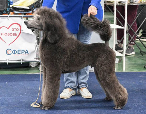 Leggero Danzatori Kvellon 11.05.2024. ������� 8 �������.