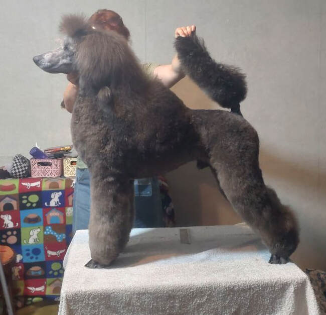 Leggero Danzatori Kvellon 11.07.2024. ������� 10 �������.