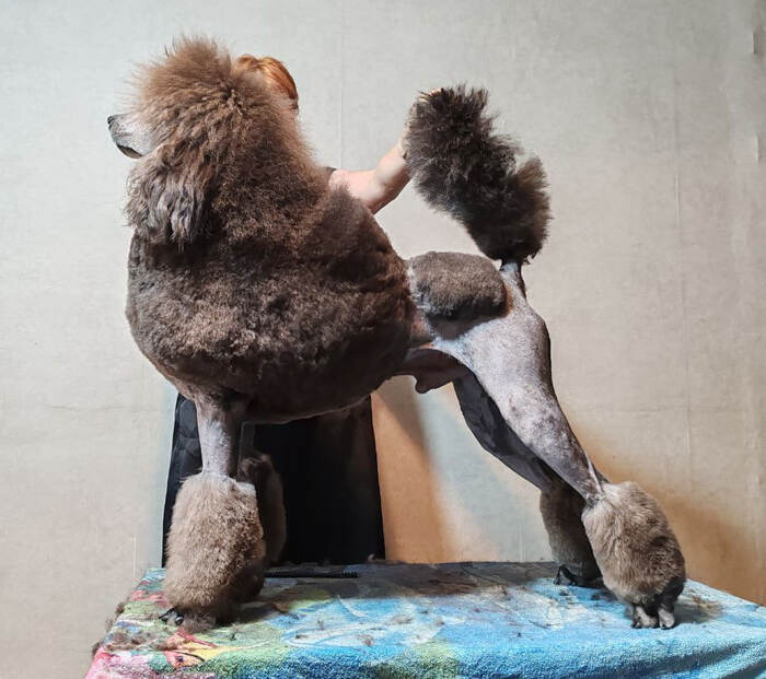 Leggero Danzatori Kvellon 06.09.2024. ������� 12 �������.