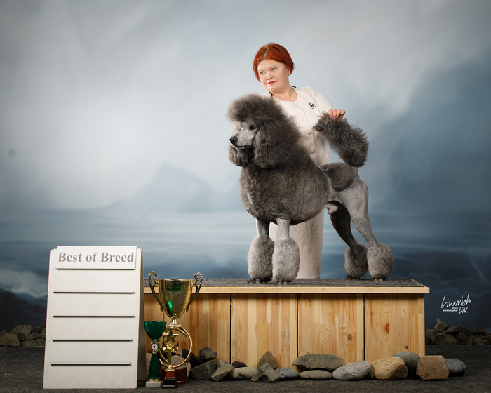 Leggero Danzatori Kvellon 23.02.2025. ������� 18 �������.