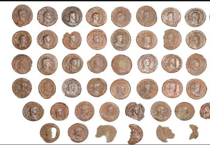 ��������� ����� ���� ����� � ���������� �� 5,5 ����� ��������