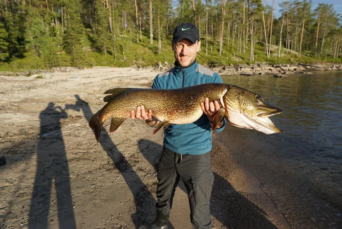 A DREAM COME TRUE, and it didn't happen without an oar... - Hunting and fishing, Perch, Travels, Spinning, Longpost, Fishermen, A fish, Карелия, North, Fishing, Pike, My