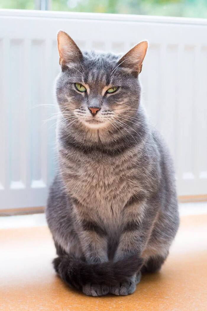 Кажется, Мишель уже побила все возможные рекорды