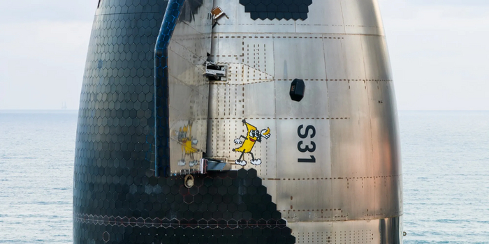 �������� � ���� ������ �� ������ Starship. �������� �������� �� ��� "banana for scale" , ������� ������ ������������ ��� ����, ����� �������� �������� ������� ������� �������, ��������� ��� � �������. ����: SpaceX