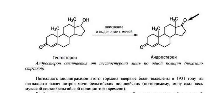 �������� �����
