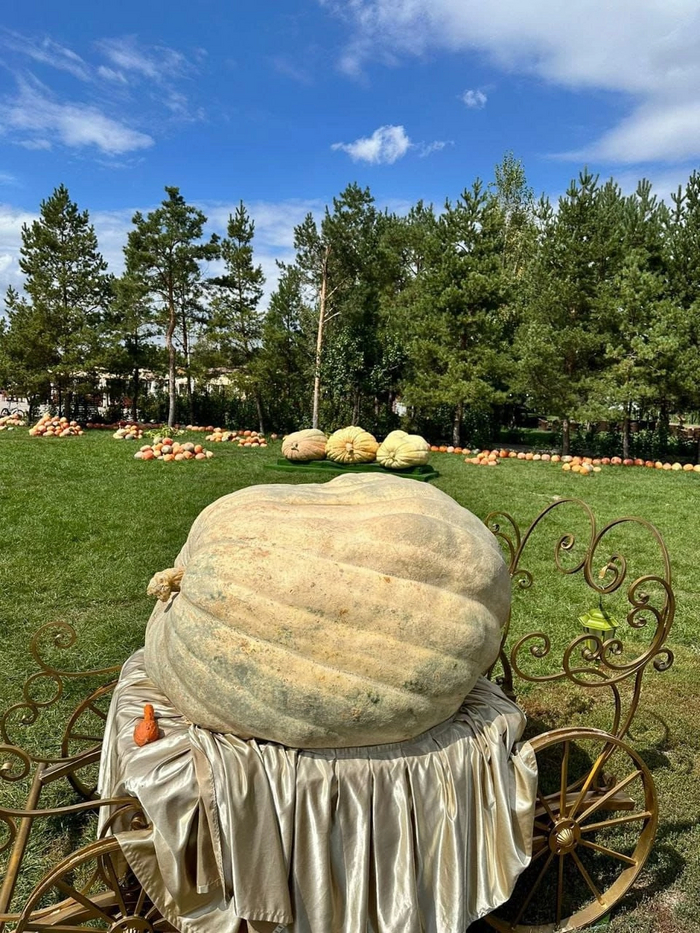 ���������� ����� �� ����� �����, ���� ����� 600 �� 2024 ���. �� �������� � ����������.