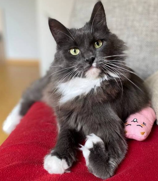 ������� � ��������� ������ ����� ��� ������ �������...