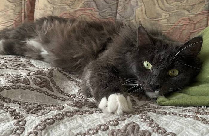 ������� � ��������� ������ ����� ��� ������ �������...