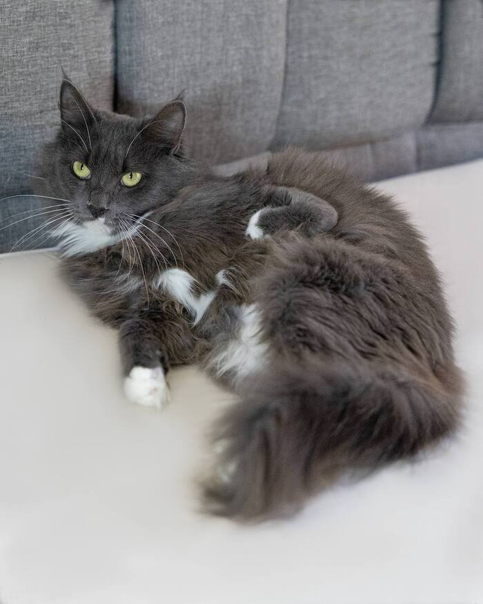 ������� � ��������� ������ ����� ��� ������ �������...