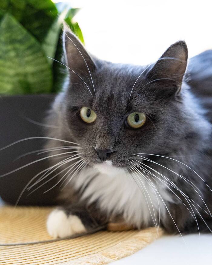 ������� � ��������� ������ ����� ��� ������ �������...