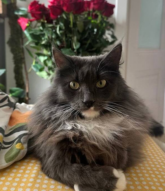 ������� � ��������� ������ ����� ��� ������ �������...